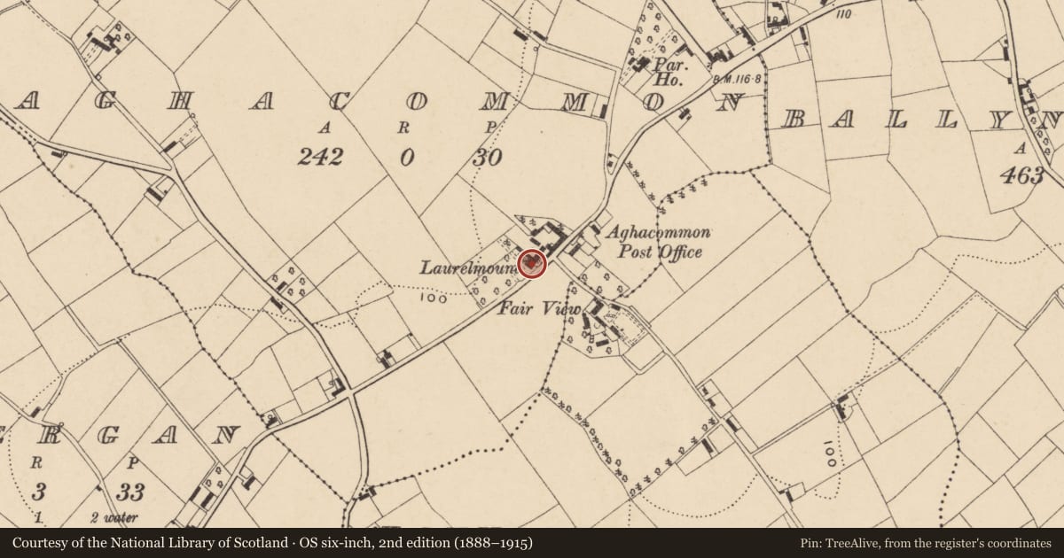 Ordnance Survey six-inch map, 2nd edition (1888–1915) covering the location of 41 Kilvergan Road, Aghacommon, Lurgan, BT66 6LF, Armagh City, Banbridge and Craigavon, with a pin at the register's coordinates