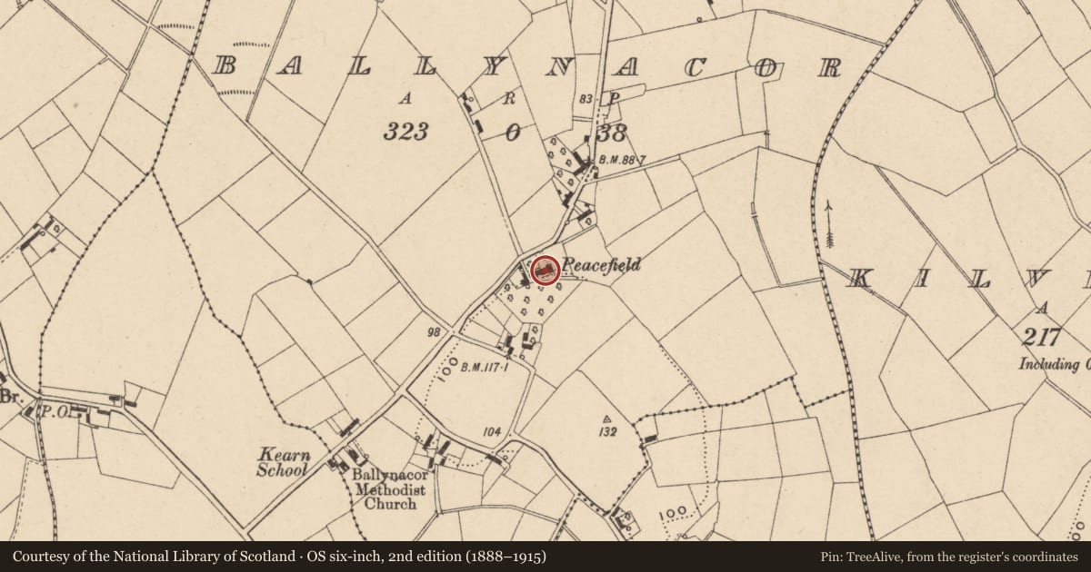 Ordnance Survey six-inch map, 2nd edition (1888–1915) covering the location of 'Peacefield', Ballynacor, Armagh City, Banbridge and Craigavon, with a pin at the register's coordinates
