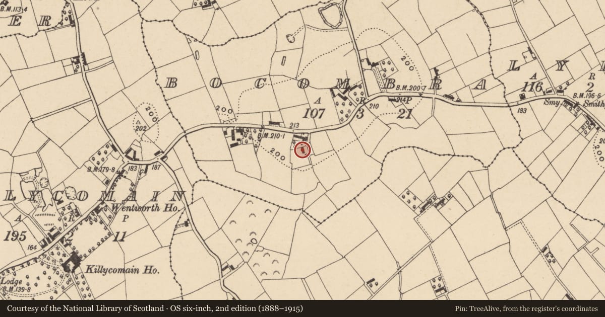 Ordnance Survey six-inch map, 2nd edition (1888–1915) covering the location of 19 Old Lurgan Road, Bocombra, Armagh City, Banbridge and Craigavon, with a pin at the register's coordinates