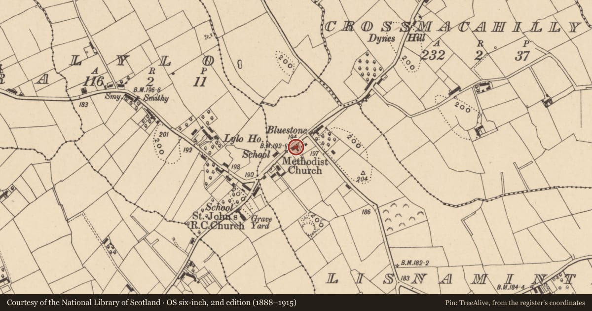 Ordnance Survey six-inch map, 2nd edition (1888–1915) covering the location of 9 Bluestone Road, Lisnamintry, Armagh City, Banbridge and Craigavon, with a pin at the register's coordinates
