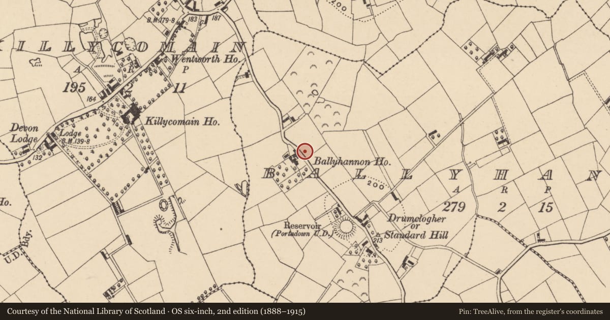 Ordnance Survey six-inch map, 2nd edition (1888–1915) covering the location of Site of house, Ballyhannon, Armagh City, Banbridge and Craigavon, with a pin at the register's coordinates