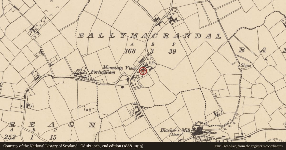Ordnance Survey six-inch map, 2nd edition (1888–1915) covering the location of Site of house ('Mountain View'), Ballymacrandal, Armagh City, Banbridge and Craigavon, with a pin at the register's coordinates