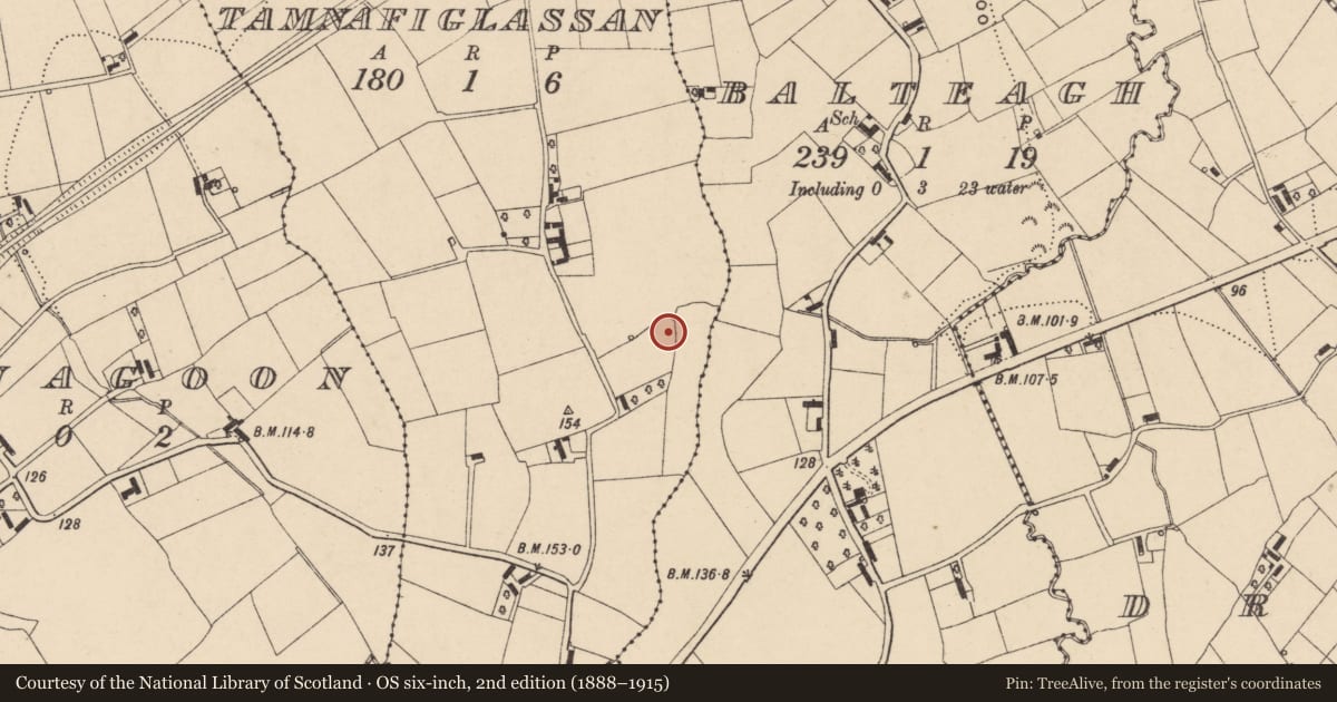 Ordnance Survey six-inch map, 2nd edition (1888–1915) covering the location of Marlborough House, Tamnafiglassan, with a pin at the register's coordinates