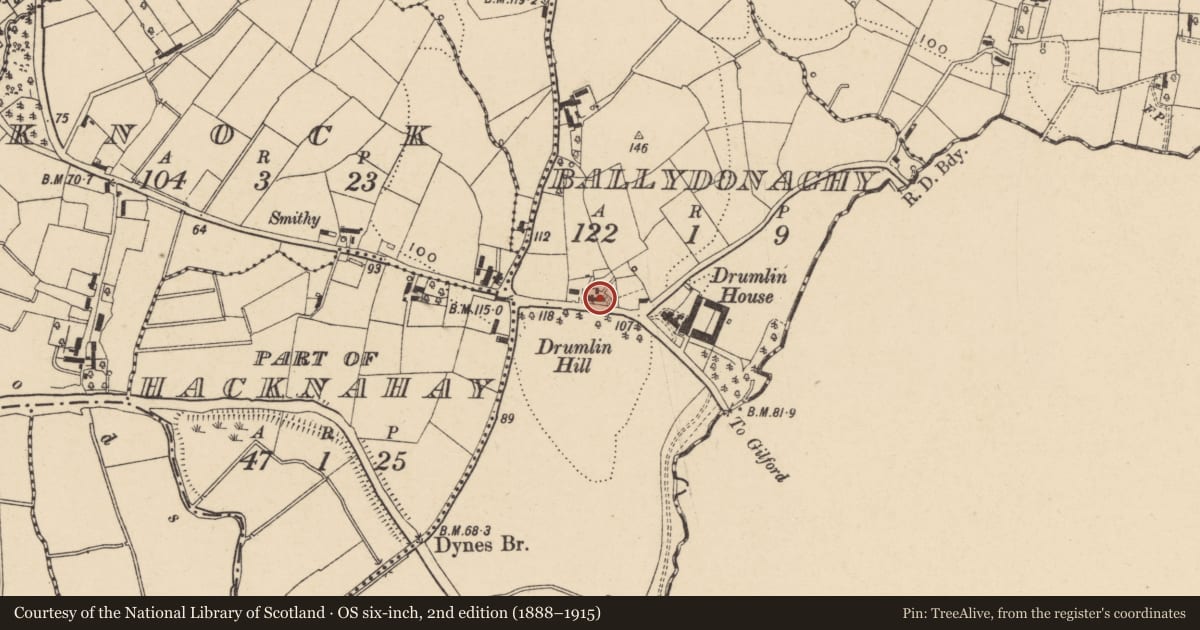 Ordnance Survey six-inch map, 2nd edition (1888–1915) covering the location of 123 Moyallan Road, Armagh City, Banbridge and Craigavon, with a pin at the register's coordinates