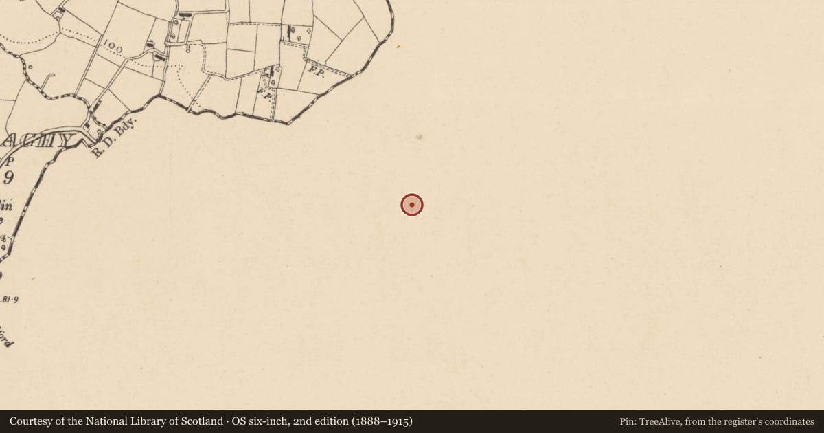 Ordnance Survey six-inch map, 2nd edition (1888–1915) covering the location of 36 Ballynagarrick Road, Armagh City, Banbridge and Craigavon, with a pin at the register's coordinates