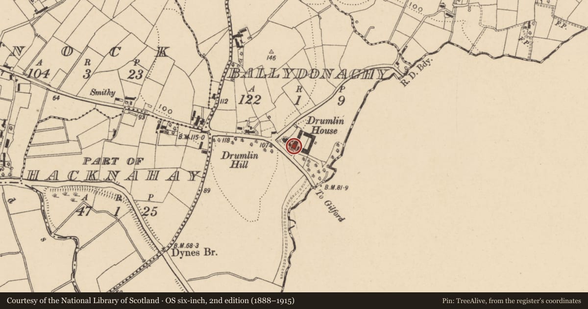 Ordnance Survey six-inch map, 2nd edition (1888–1915) covering the location of 115 Moyallan Road, Armagh City, Banbridge and Craigavon, with a pin at the register's coordinates