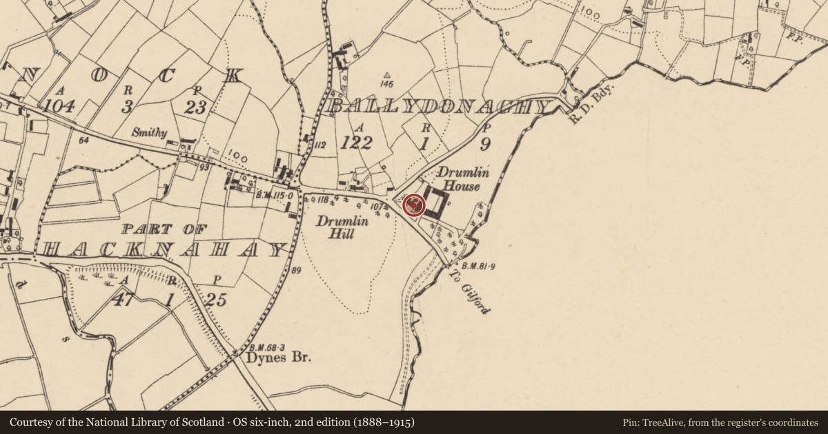 Ordnance Survey six-inch map, 2nd edition (1888–1915) covering the location of 117 Moyallan Road, Armagh City, Banbridge and Craigavon, with a pin at the register's coordinates