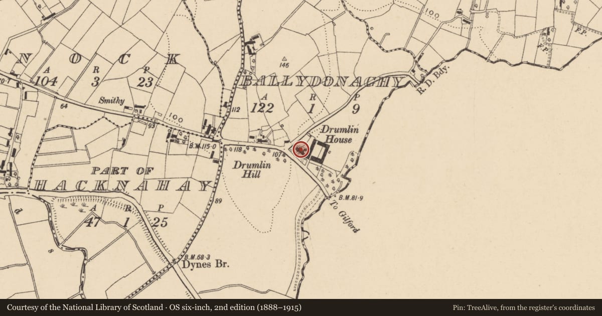 Ordnance Survey six-inch map, 2nd edition (1888–1915) covering the location of 119 Moyallan Road, Armagh City, Banbridge and Craigavon, with a pin at the register's coordinates