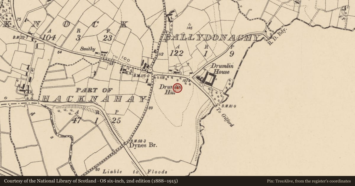 Ordnance Survey six-inch map, 2nd edition (1888–1915) covering the location of Drumlyn House, Armagh City, Banbridge and Craigavon, with a pin at the register's coordinates