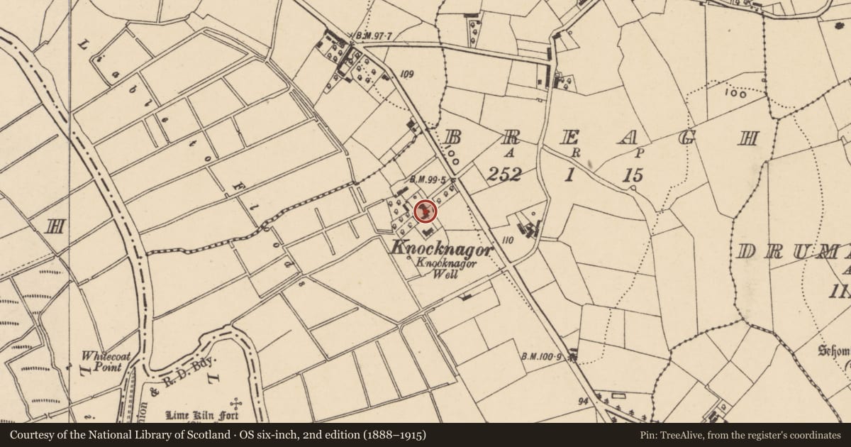 Ordnance Survey six-inch map, 2nd edition (1888–1915) covering the location of 138 Gilford Road, Armagh City, Banbridge and Craigavon, with a pin at the register's coordinates