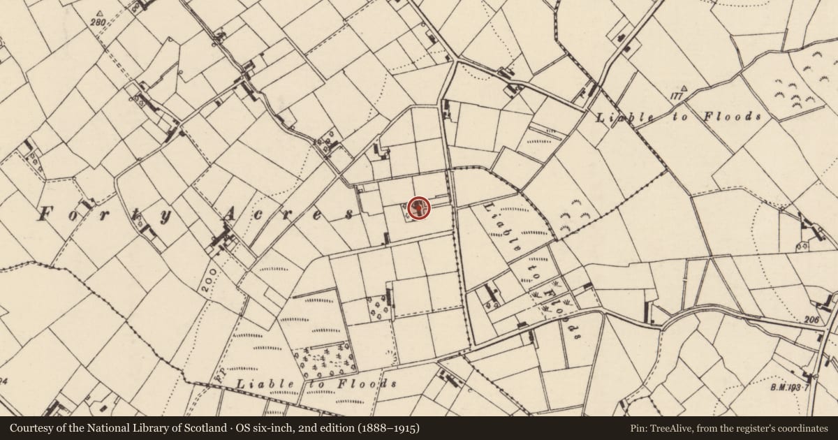 Ordnance Survey six-inch map, 2nd edition (1888–1915) covering the location of 34 Clare Moss Road, Armagh City, Banbridge and Craigavon, with a pin at the register's coordinates