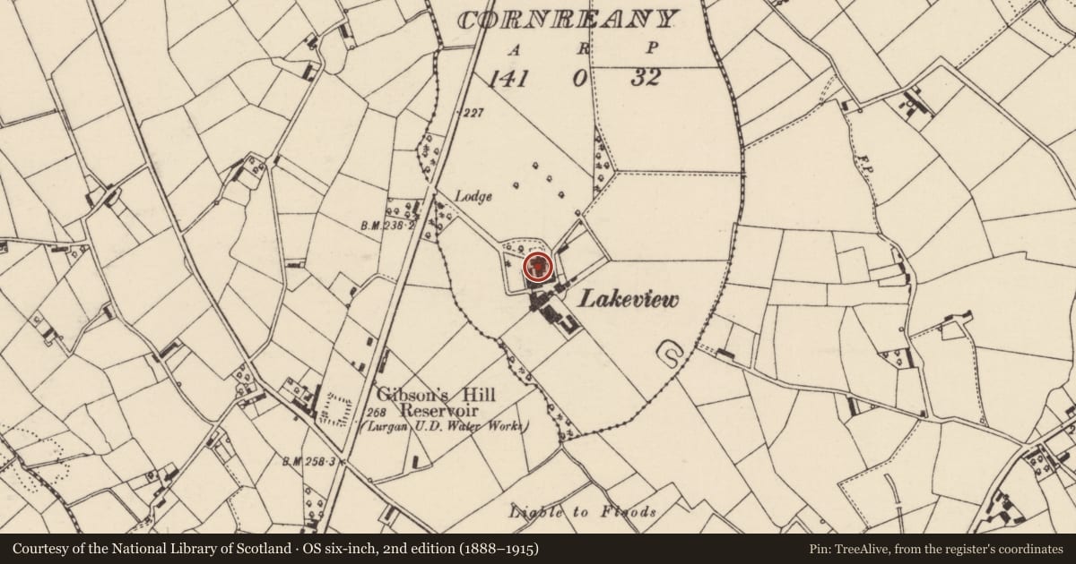 Ordnance Survey six-inch map, 2nd edition (1888–1915) covering the location of Lakeview House, with a pin at the register's coordinates