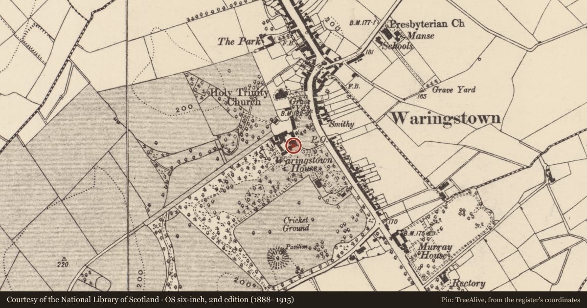Ordnance Survey six-inch map, 2nd edition (1888–1915) covering the location of Waringstown House, Armagh City, Banbridge and Craigavon, with a pin at the register's coordinates