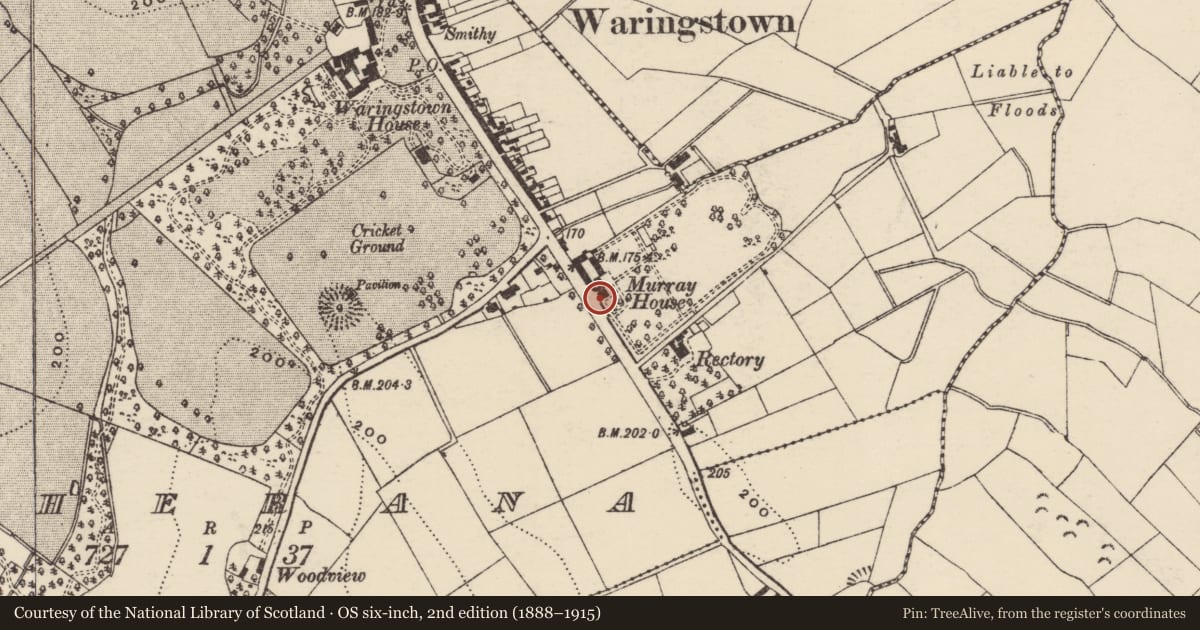 Ordnance Survey six-inch map, 2nd edition (1888–1915) covering the location of ROSELANDS, Armagh City, Banbridge and Craigavon, with a pin at the register's coordinates