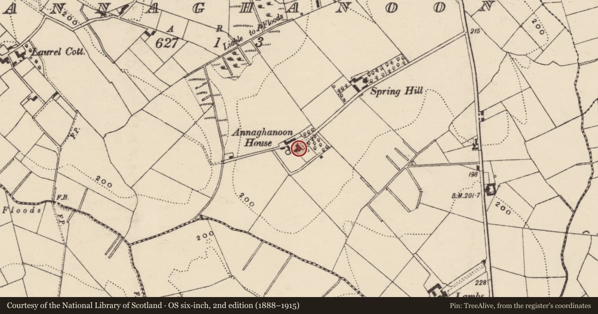 Ordnance Survey six-inch map, 2nd edition (1888–1915) covering the location of Annaghanoon House, Armagh City, Banbridge and Craigavon, with a pin at the register's coordinates