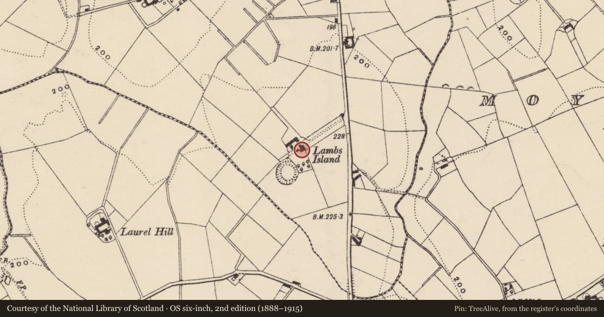 Ordnance Survey six-inch map, 2nd edition (1888–1915) covering the location of Lamb'S Island, Armagh City, Banbridge and Craigavon, with a pin at the register's coordinates