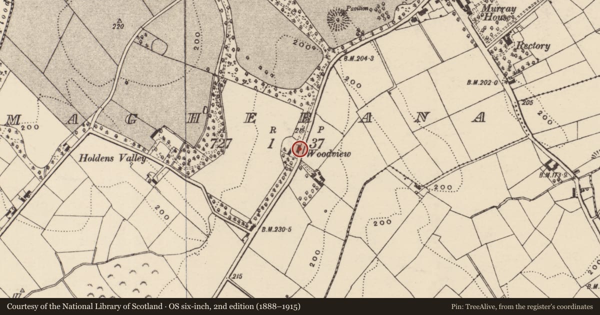 Ordnance Survey six-inch map, 2nd edition (1888–1915) covering the location of WOODVIEW, Armagh City, Banbridge and Craigavon, with a pin at the register's coordinates