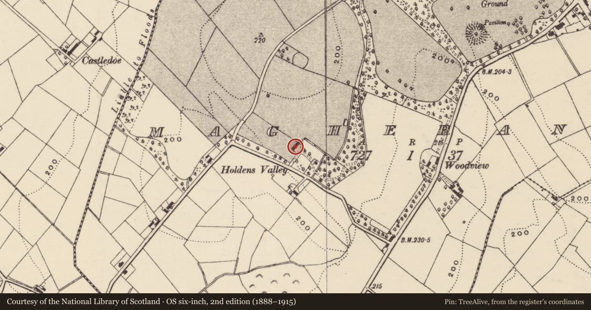 Ordnance Survey six-inch map, 2nd edition (1888–1915) covering the location of 17 Valley Lane, Armagh City, Banbridge and Craigavon, with a pin at the register's coordinates