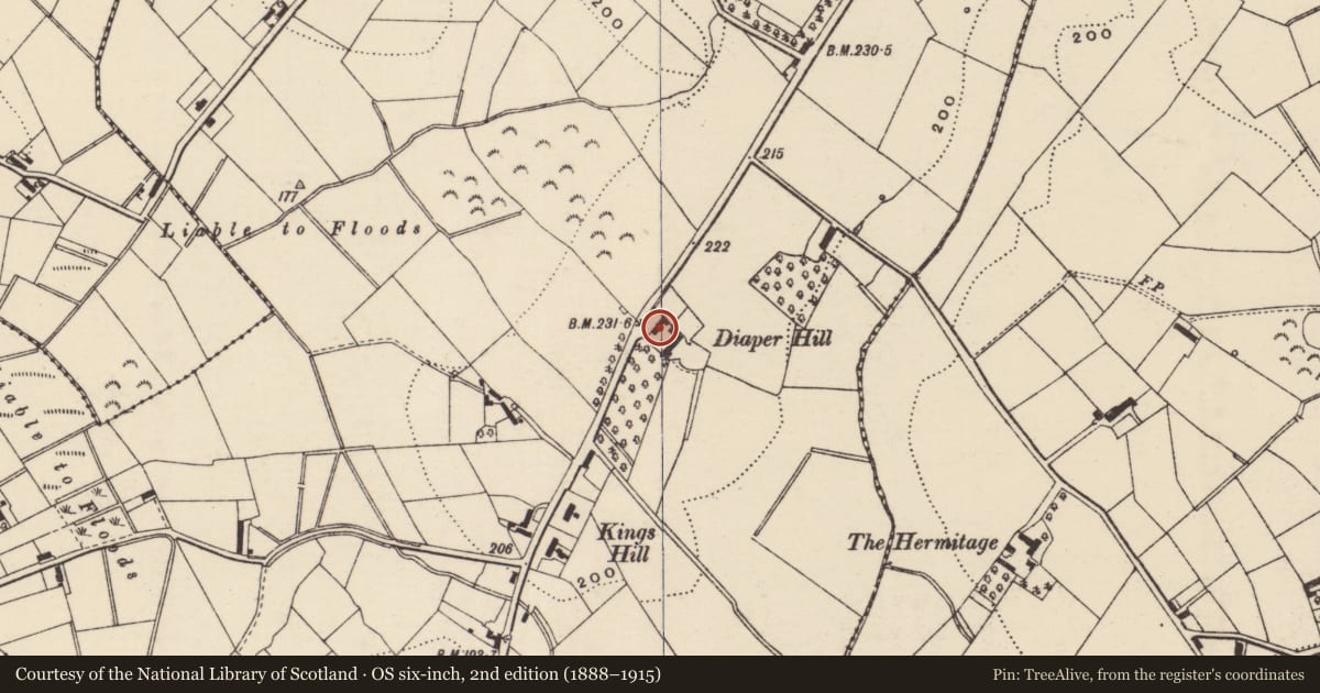 Ordnance Survey six-inch map, 2nd edition (1888–1915) covering the location of Diaper Hill, Armagh City, Banbridge and Craigavon, with a pin at the register's coordinates