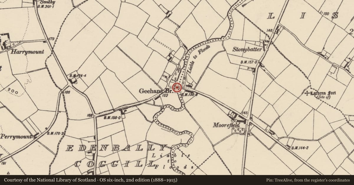 Ordnance Survey six-inch map, 2nd edition (1888–1915) covering the location of Geehan'S Bridge Edenballycoggil/DRUMLIN, Armagh City, Banbridge and Craigavon, with a pin at the register's coordinates