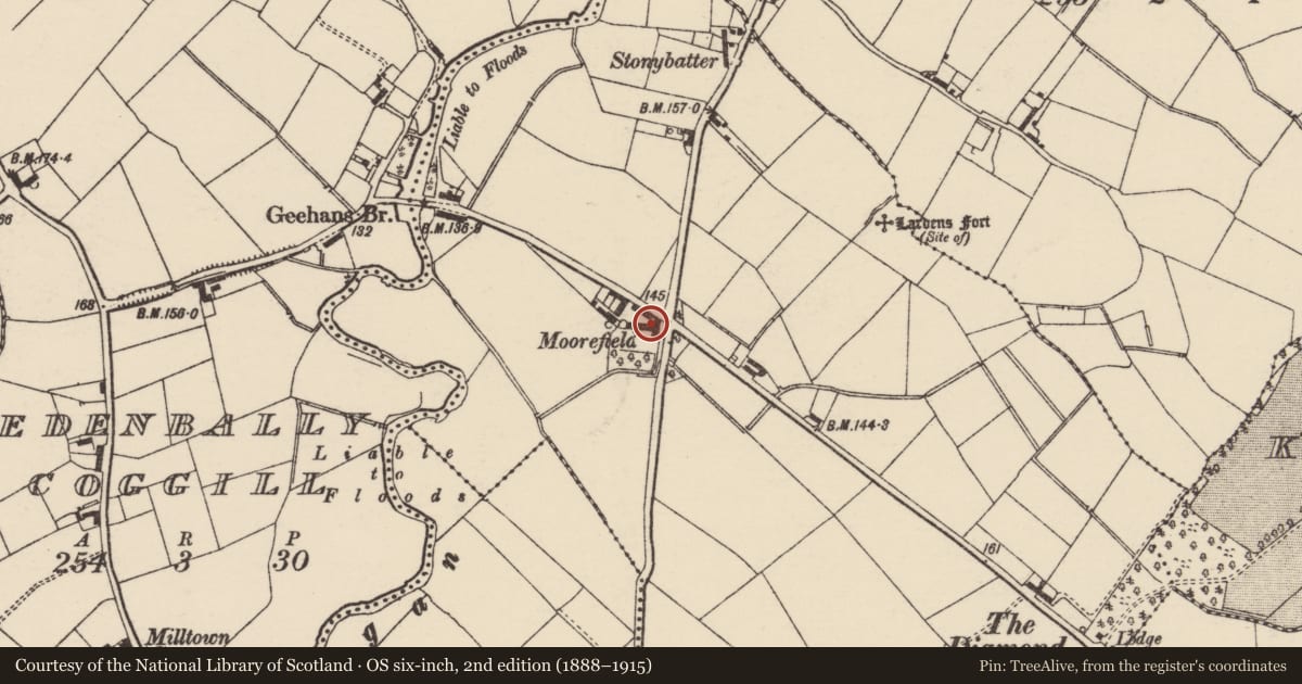 Ordnance Survey six-inch map, 2nd edition (1888–1915) covering the location of MOOREFIELD, Armagh City, Banbridge and Craigavon, with a pin at the register's coordinates
