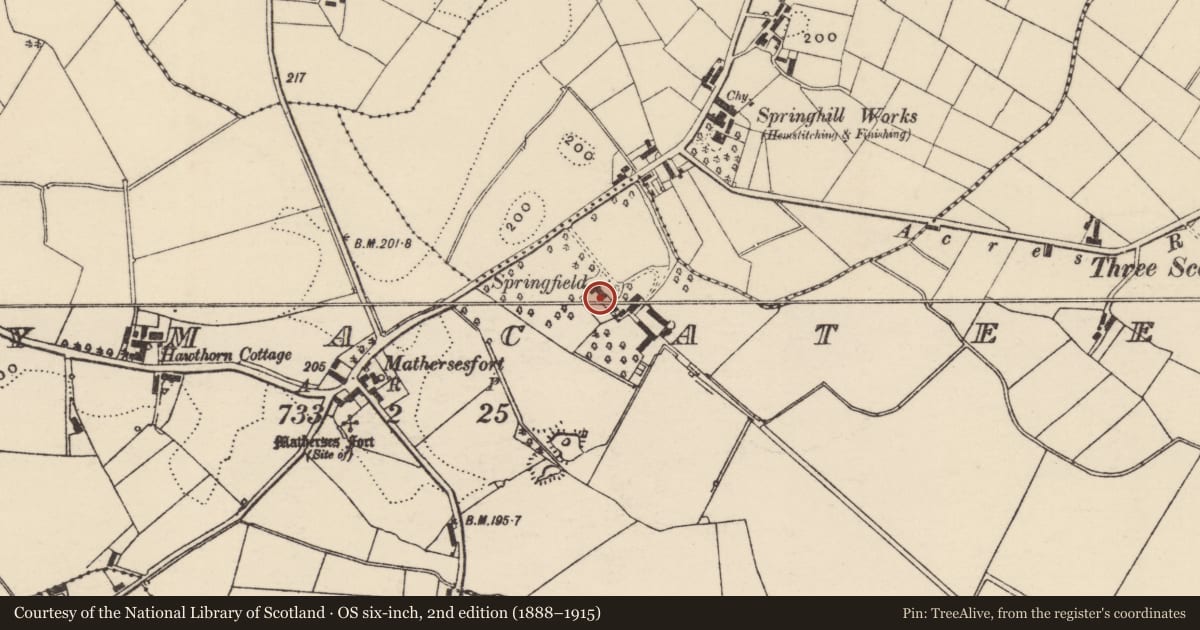 Ordnance Survey six-inch map, 2nd edition (1888–1915) covering the location of SPRINGFIELD, Armagh City, Banbridge and Craigavon, with a pin at the register's coordinates