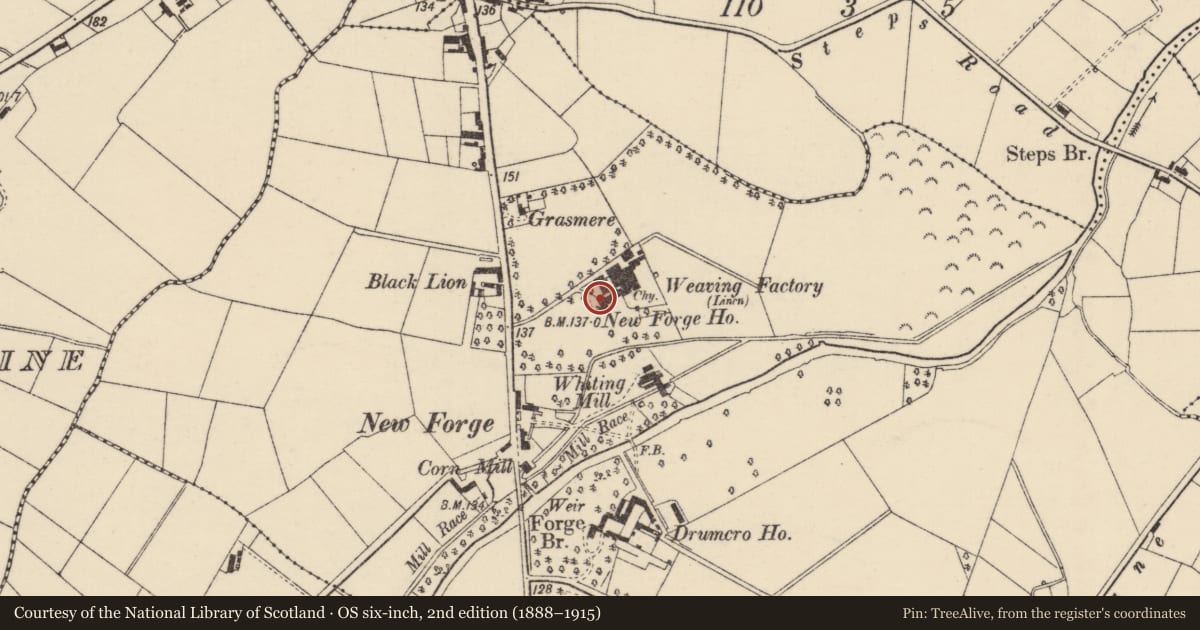 Ordnance Survey six-inch map, 2nd edition (1888–1915) covering the location of Newforge House, Armagh City, Banbridge and Craigavon, with a pin at the register's coordinates