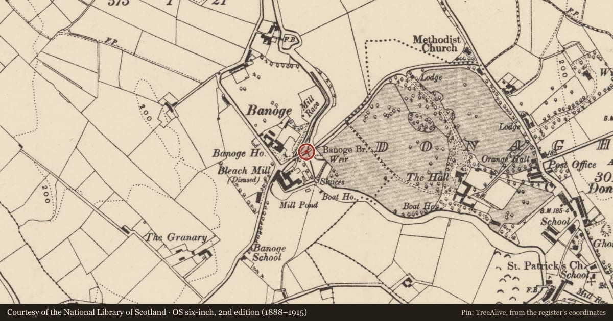 Ordnance Survey six-inch map, 2nd edition (1888–1915) covering the location of Banoge Bridge, Armagh City, Banbridge and Craigavon, with a pin at the register's coordinates