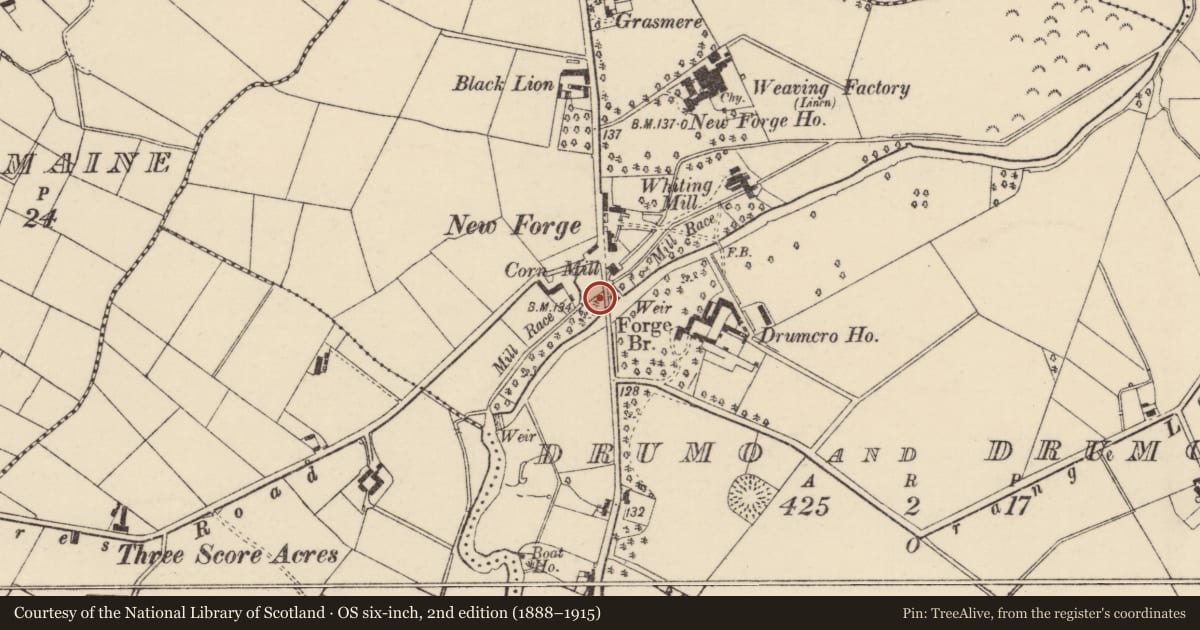 Ordnance Survey six-inch map, 2nd edition (1888–1915) covering the location of Forge Bridge, Armagh City, Banbridge and Craigavon, with a pin at the register's coordinates