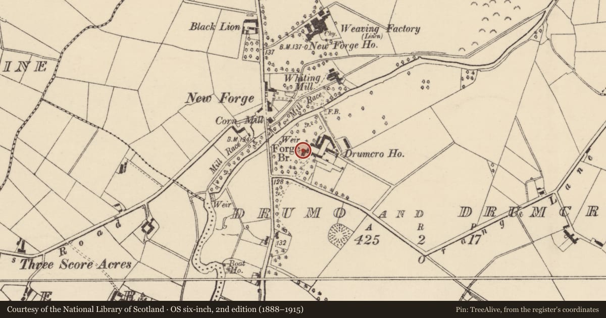 Ordnance Survey six-inch map, 2nd edition (1888–1915) covering the location of Drumcro House, Armagh City, Banbridge and Craigavon, with a pin at the register's coordinates
