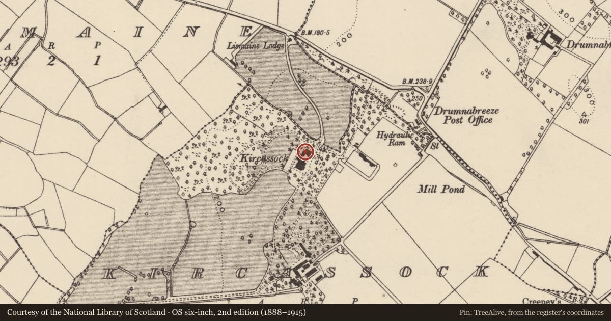 Ordnance Survey six-inch map, 2nd edition (1888–1915) covering the location of KIRCASSOCK, Armagh City, Banbridge and Craigavon, with a pin at the register's coordinates