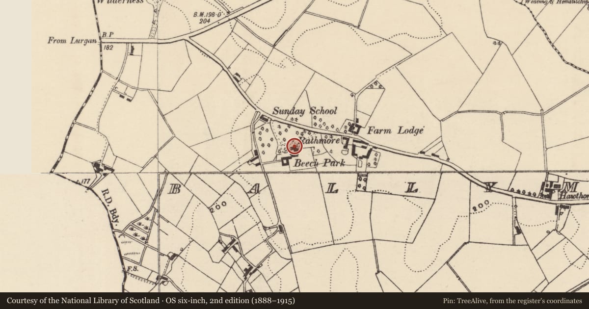 Ordnance Survey six-inch map, 2nd edition (1888–1915) covering the location of Beech Park, Armagh City, Banbridge and Craigavon, with a pin at the register's coordinates