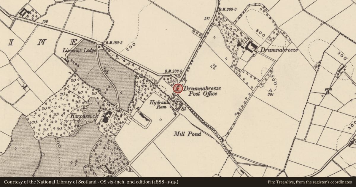 Ordnance Survey six-inch map, 2nd edition (1888–1915) covering the location of Post Office, Armagh City, Banbridge and Craigavon, with a pin at the register's coordinates