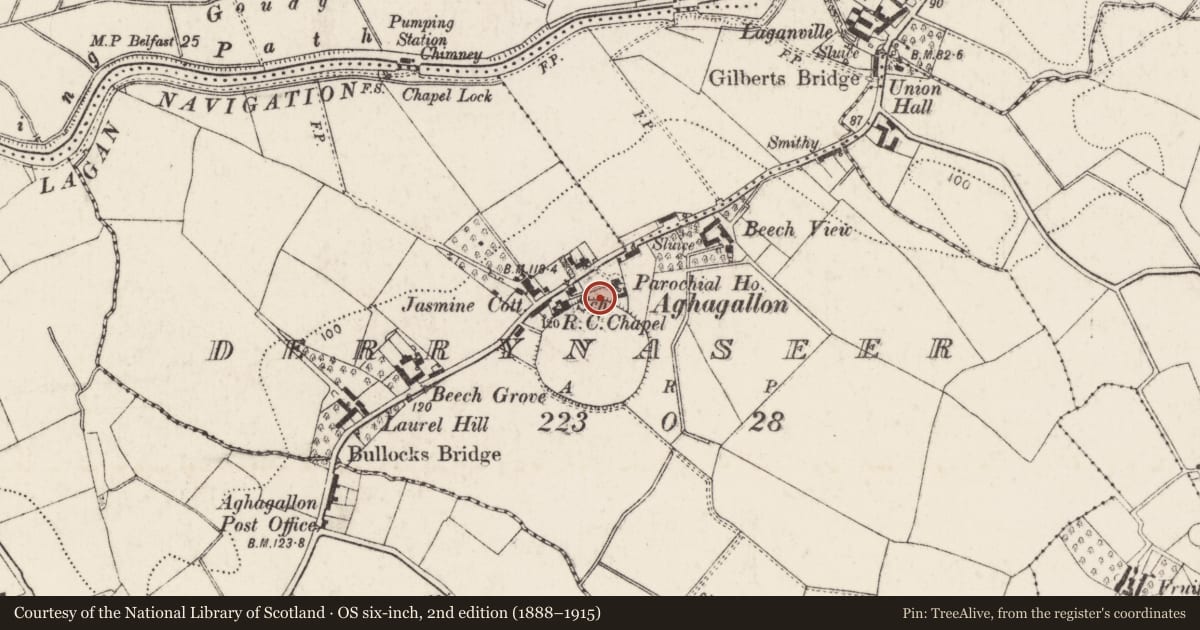 Ordnance Survey six-inch map, 2nd edition (1888–1915) covering the location of St.patrick'S Rc Church, Armagh City, Banbridge and Craigavon, with a pin at the register's coordinates