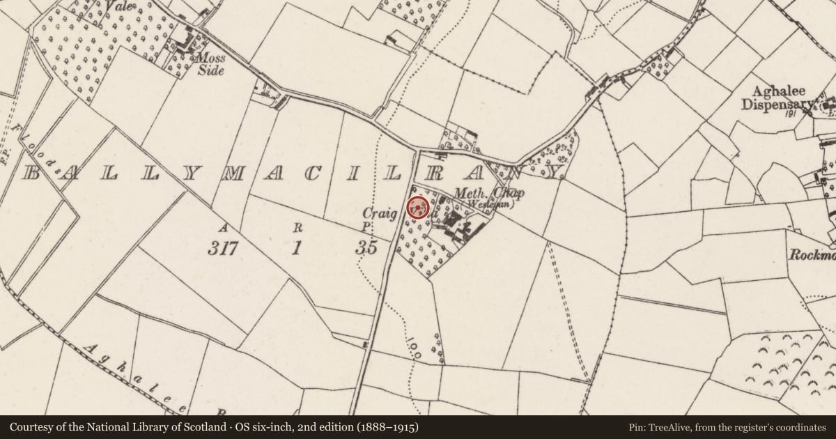 Ordnance Survey six-inch map, 2nd edition (1888–1915) covering the location of Craigmore, with a pin at the register's coordinates
