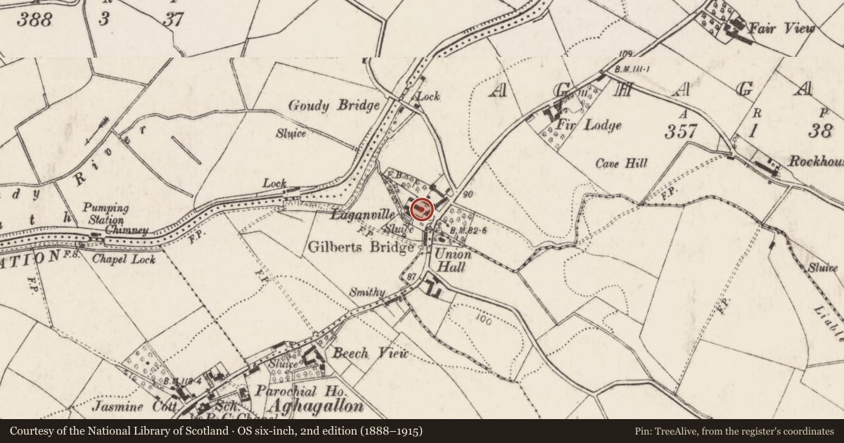 Ordnance Survey six-inch map, 2nd edition (1888–1915) covering the location of Riverdale Mill Complex, 24 Aghalee Road, Aghagallion BT57 0AR, Aghagallon, Armagh City, Banbridge and Craigavon, with a pin at the register's coordinates