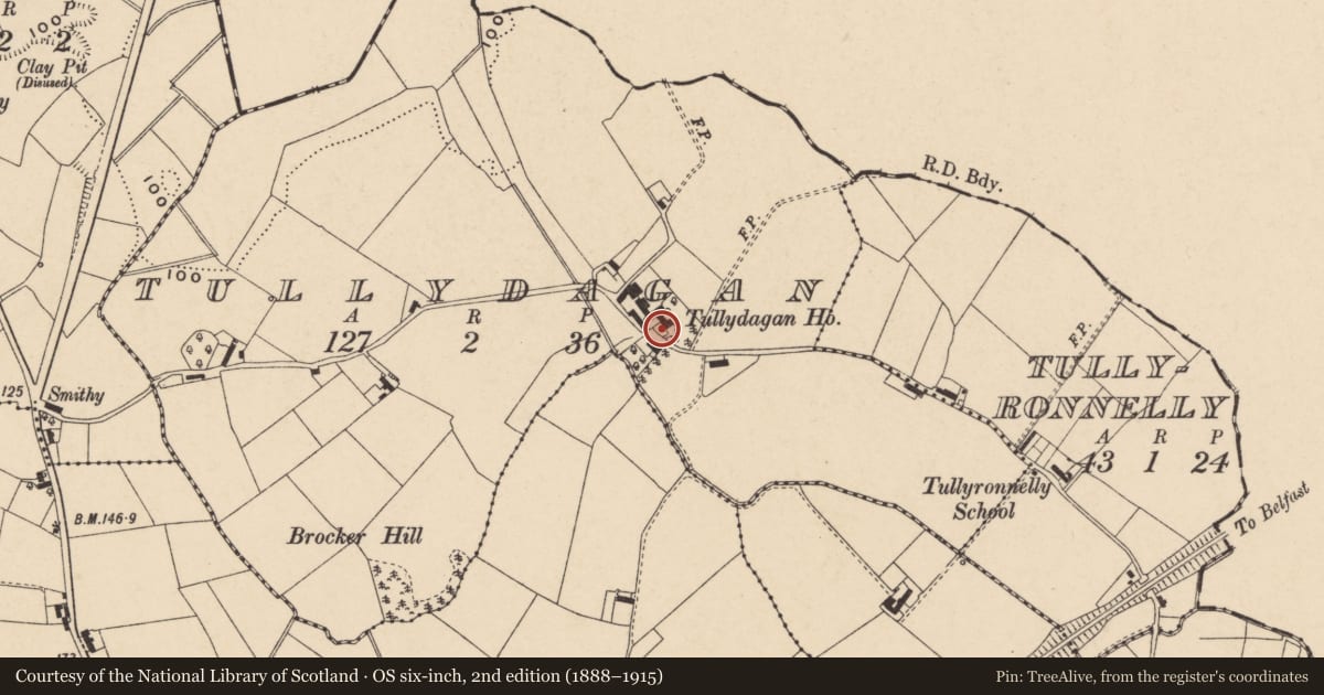 Ordnance Survey six-inch map, 2nd edition (1888–1915) covering the location of Tullydagan House, with a pin at the register's coordinates