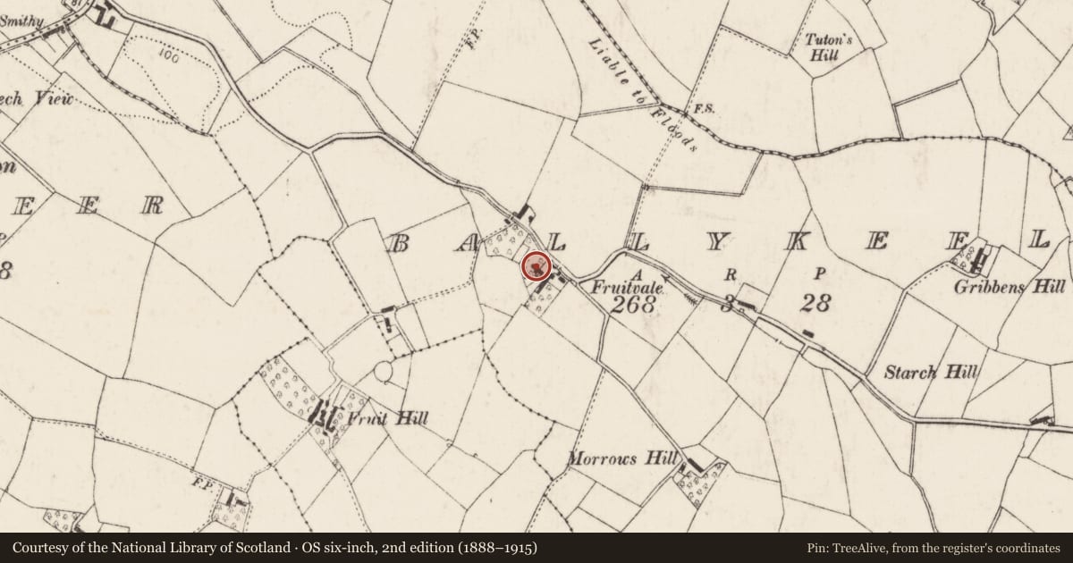 Ordnance Survey six-inch map, 2nd edition (1888–1915) covering the location of Fruitvale, Ballykeel, with a pin at the register's coordinates