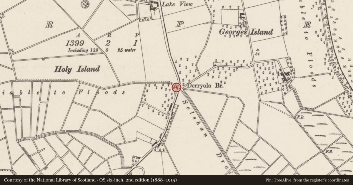 Ordnance Survey six-inch map, 2nd edition (1888–1915) covering the location of Derryola Bridge, Derryola Bridge Road, Aghalee, BT67 0DJ, Deer Park, Armagh City, Banbridge and Craigavon, with a pin at the register's coordinates