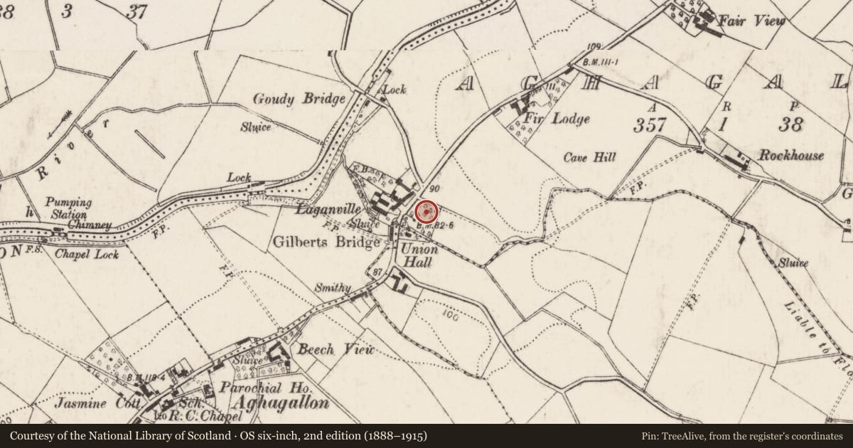 Ordnance Survey six-inch map, 2nd edition (1888–1915) covering the location of Riverdale House and Rocaille, 19 Aghalee Road, Aghagallon, Co Antrim, BT67 0AR, Armagh City, Banbridge and Craigavon, with a pin at the register's coordinates