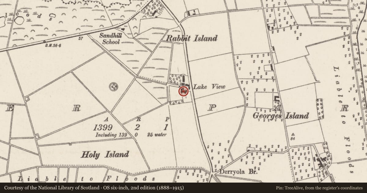 Ordnance Survey six-inch map, 2nd edition (1888–1915) covering the location of Lake View, with a pin at the register's coordinates