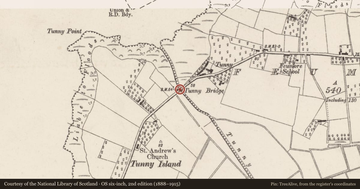 Ordnance Survey six-inch map, 2nd edition (1888–1915) covering the location of Tunny Bridge, Feumore Road, BT28 2LH, Deer Park, Lisburn and Castlereagh, with a pin at the register's coordinates