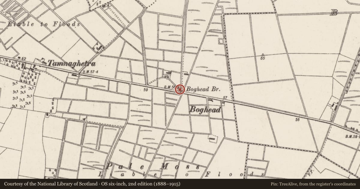 Ordnance Survey six-inch map, 2nd edition (1888–1915) covering the location of Bridge on Boghead Bridge Road, Aghalee, BT67 0EF, Armagh City, Banbridge and Craigavon, with a pin at the register's coordinates