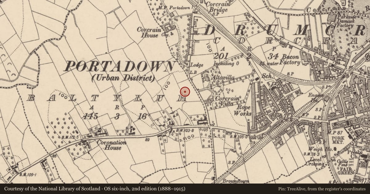 Ordnance Survey six-inch map, 2nd edition (1888–1915) covering the location of Hart Memorial Primary School, Armagh City, Banbridge and Craigavon, with a pin at the register's coordinates