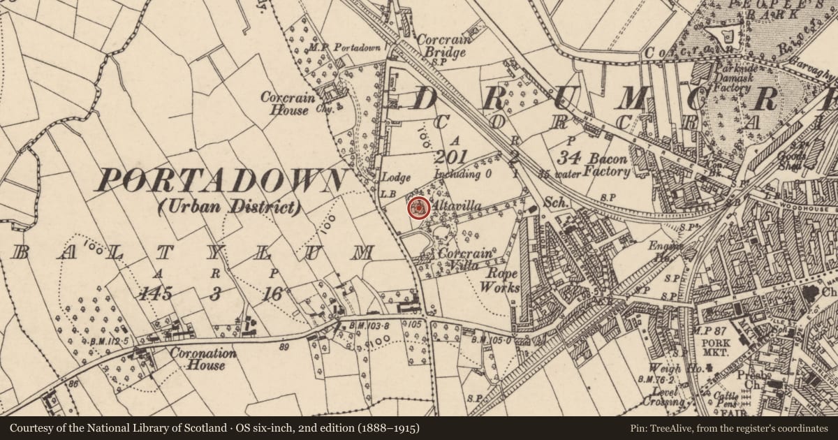 Ordnance Survey six-inch map, 2nd edition (1888–1915) covering the location of St Francis Nursing Home 71b Charles Street Portadown BT62 4DB, Corcrain, Armagh City, Banbridge and Craigavon, with a pin at the register's coordinates