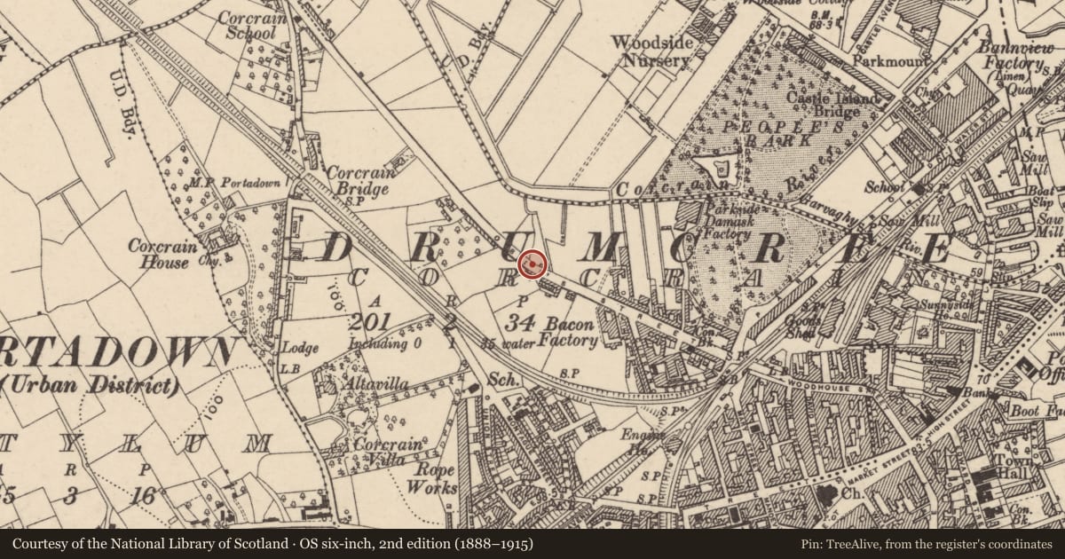 Ordnance Survey six-inch map, 2nd edition (1888–1915) covering the location of Shed at scrapyard, Corcrain, Armagh City, Banbridge and Craigavon, with a pin at the register's coordinates
