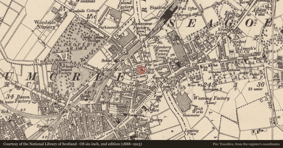 Ordnance Survey six-inch map, 2nd edition (1888–1915) covering the location of The Shillington Building, Castle Street, Portadown, Craigavon, Co Armagh BT62 1BD, Armagh City, Banbridge and Craigavon, with a pin at the register's coordinates