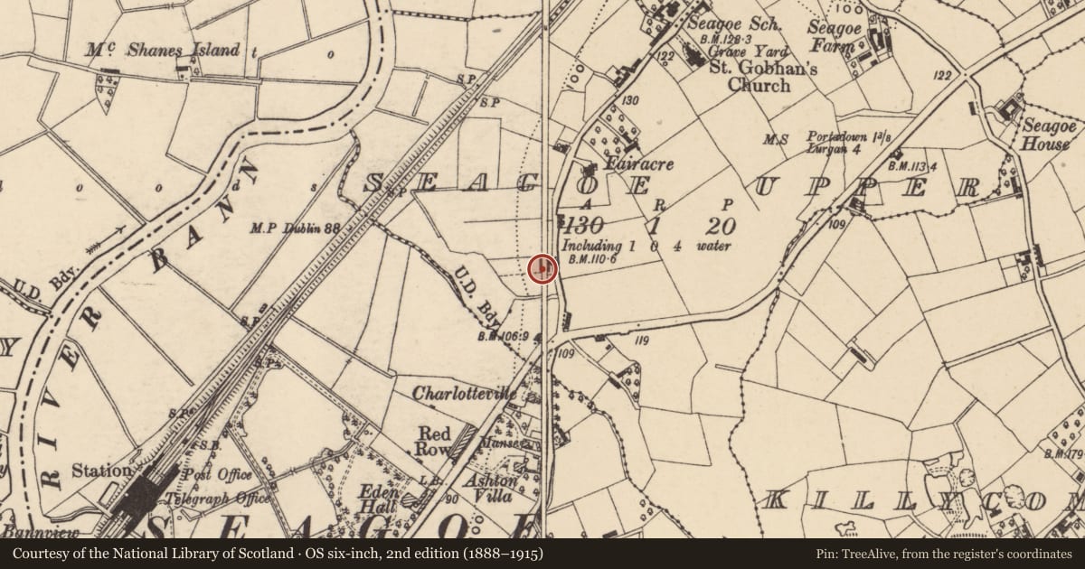 Ordnance Survey six-inch map, 2nd edition (1888–1915) covering the location of Gobhan Cottage, Seagoe Upper, Armagh City, Banbridge and Craigavon, with a pin at the register's coordinates