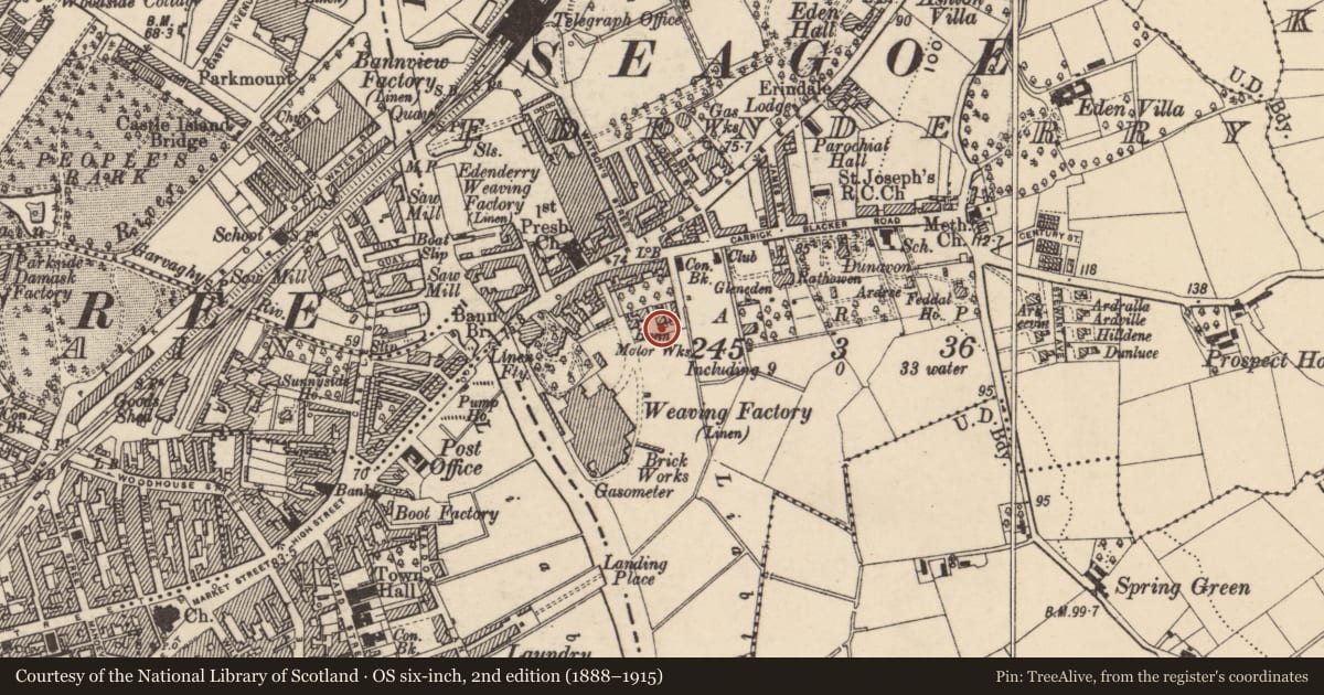 Ordnance Survey six-inch map, 2nd edition (1888–1915) covering the location of 12 Carrickblacker Avenue, Armagh City, Banbridge and Craigavon, with a pin at the register's coordinates