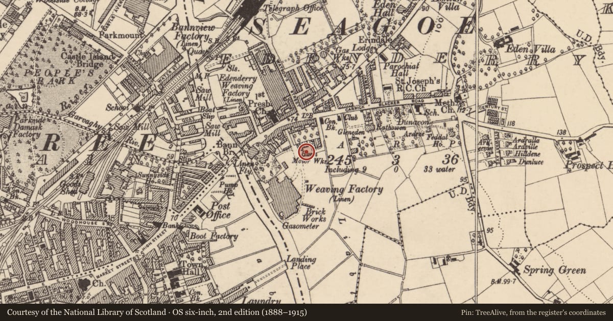 Ordnance Survey six-inch map, 2nd edition (1888–1915) covering the location of 18 Carrickblacker Avenue, Armagh City, Banbridge and Craigavon, with a pin at the register's coordinates